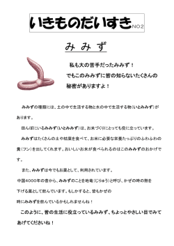 いきものだいすきNO2