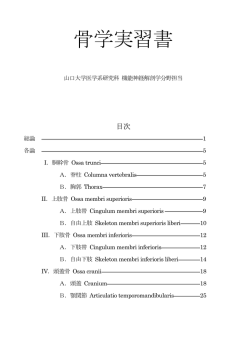 骨学実習書
