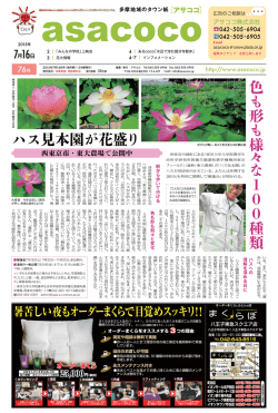 色 も 形 も 様 々 な 100種類 ハス見本園が花盛り - asacoco