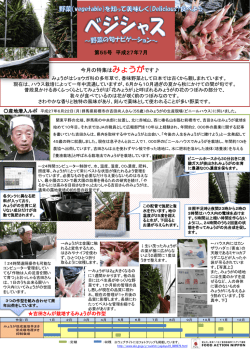 みょうが - alic｜独立行政法人 農畜産業振興機構