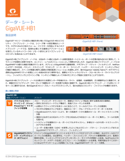 GigaVUE-HB1 データ・シート Datasheet