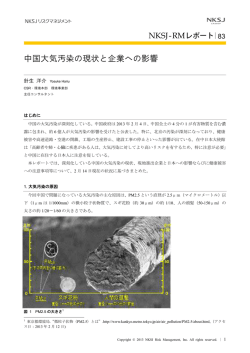 中国大気汚染の現状と企業への影響（PDF形式、392kバイト）