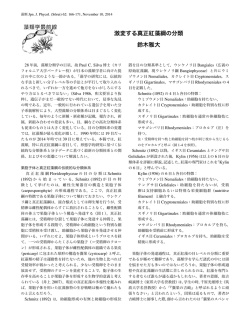 激変する真正紅藻綱の分類