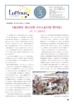 第12号 - ルピナス遊学サロン