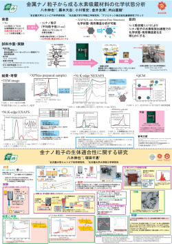 金属ナノ粒子から成る水素吸蔵材料の化学状態分析 金ナノ粒子の生体