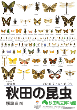 解説資料 - 秋田県立博物館