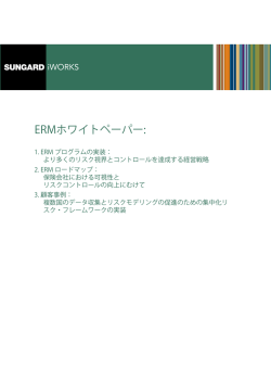 ERMホワイトペーパー