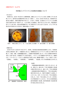 利尻島エゾバフンウニの成熟状況調査について