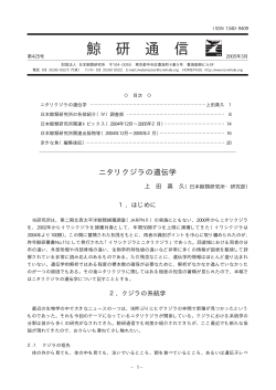 第425号 (2005年3月)