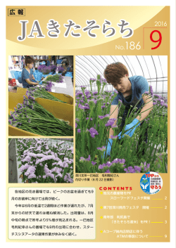 PDFファイルで見る