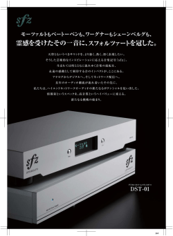DST-01 カタログ
