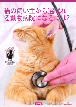 猫の飼い主から選ばれ る動物病院になるには？