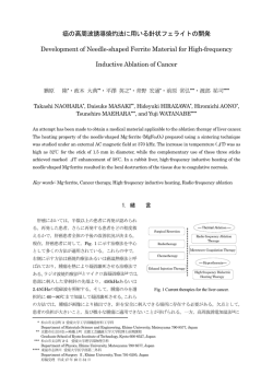 癌の高周波誘導焼灼法に用いる針状フェライトの開発 Development of