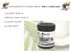 PDF（2） - SH商品サイト