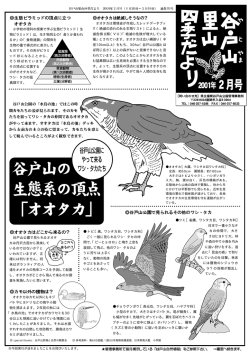 生 物ピラミッド - 県立 座間谷戸山公園