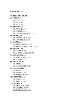 1 創世記9章18節－19章 1A カナンへの呪い 18－29 2A ノアの息子