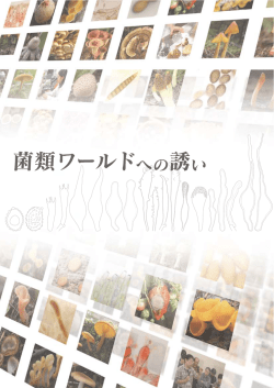 菌類ワールドへの誘い