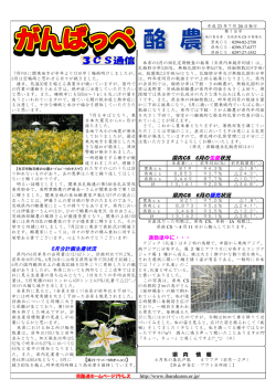 2011年18号
