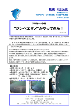 【下田海中水族館】ジンベイザメがやってきた！