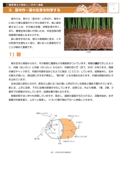 3. 苗半作～苗の生育を科学する