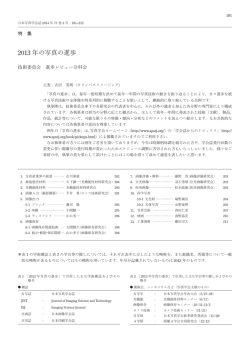 2013 年の写真の進歩