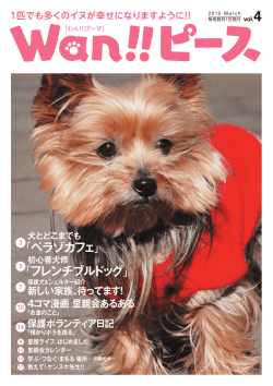 4号 wan!!