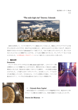 Denver, Colorad 大石2