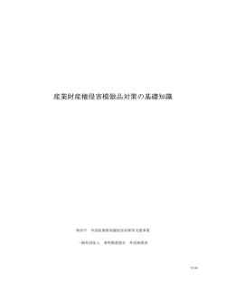 産業財産権侵害模倣品対策の基礎知識 - 外国産業財産権侵害対策等
