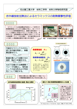 赤外線放射加熱法による熱衝撃試験