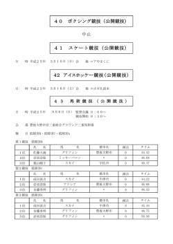 アイスホッケー競技（PDF：82KB）