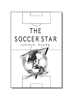 THE SOCCER STAR
