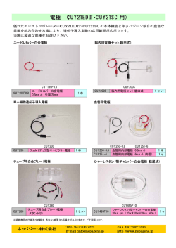 電極 - ネッパジーン