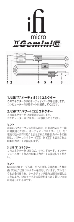オーディオ（  ）コネクター 2. USB "A" パワー（ ）コネクター - iFI