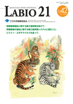 LABIO21 No.42（PDF）