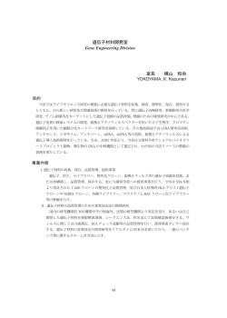 遺伝子材料開発室 Gene Engineering Division 室長 横山 和尚