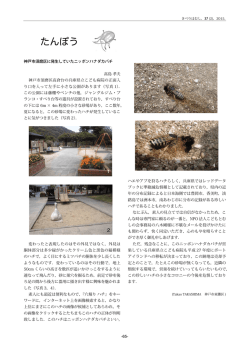 65 - NPO法人こどもとむしの会