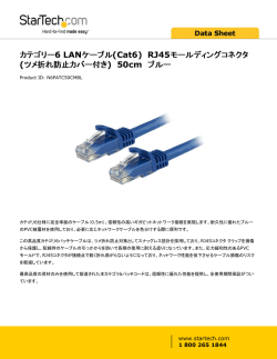 カテゴリー6 LANケーブル(Cat6) RJ45モールディングコネクタ (ツメ折れ
