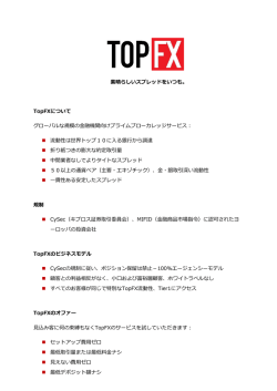 TopFXについて グローバルな規模の金融機関向けプライムブロ