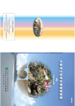 統合圧縮版（やや画像が粗くなります、6.9MB）