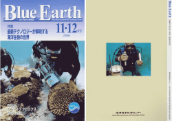 Blue Earth