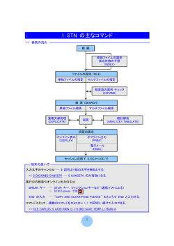 STN の主なコマンド
