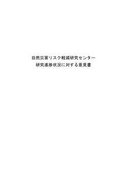自然災害リスク軽減研究センター 研究進捗状況に対する意見書