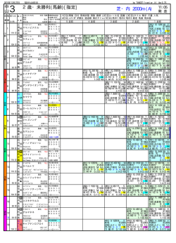 中山（有馬記念は10R）