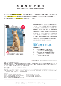 こちら - ギャラリー楽水