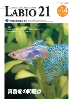 LABIO21 No.14（PDF）
