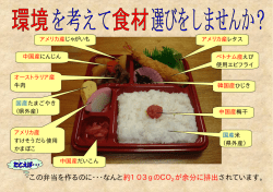 この弁当を作るのに・・・なんと約103gのCO2 が余分に排出