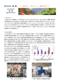 ここをクリックしてください。〔pdf〕