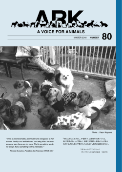 A VOICE FOR ANIMALS