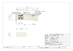 JOY 右シンク平面図