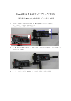 Parani-SD100のベアリング